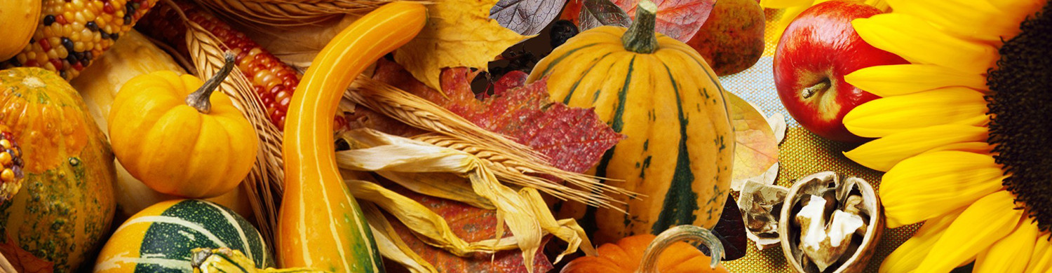 Harvest Festival